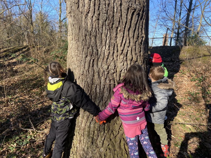 baum_kinder.jpg