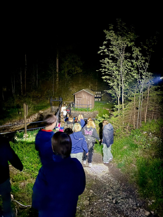 nachtwanderung.jpg